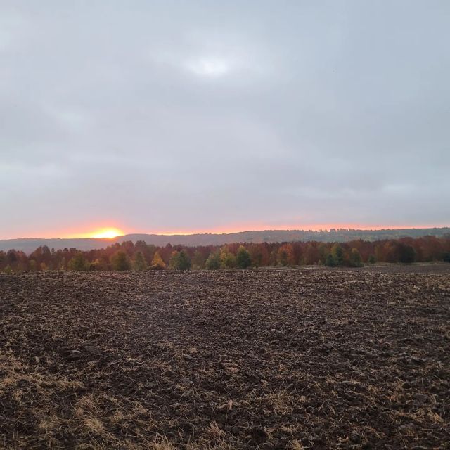 Autumn sunset over farm fields in Clearview Township, Ontario