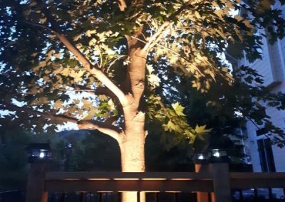 Landscape lighting on a mature tree by Revel Homes